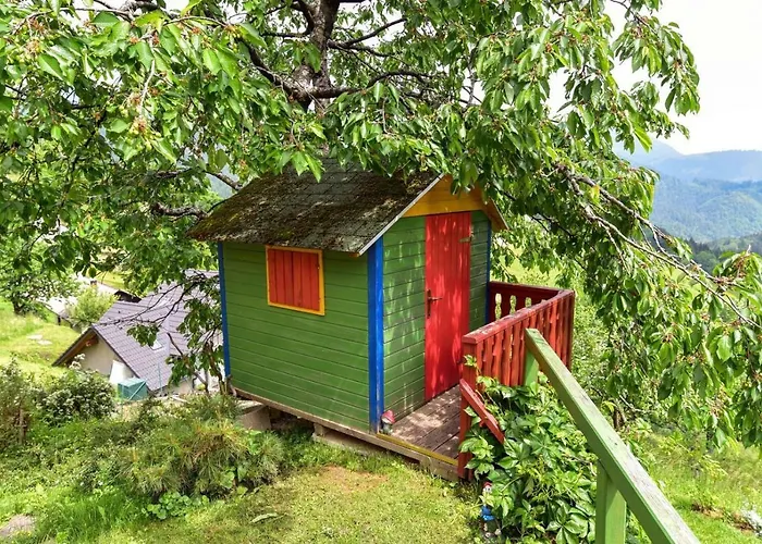 Pr' Grogori Zelezniki